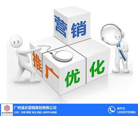 凌志營銷策劃 番禺區(qū)營銷型網(wǎng)頁建設(shè)與軟件開發(fā)，優(yōu)質(zhì)商家首選